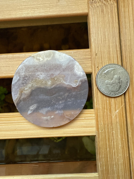 Blue Flower Agate Slice